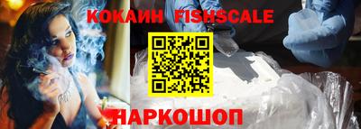 стаф Можга