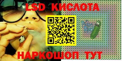 стаф Можга