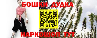 стаф Можга
