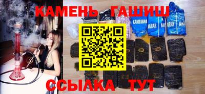 стаф Можга