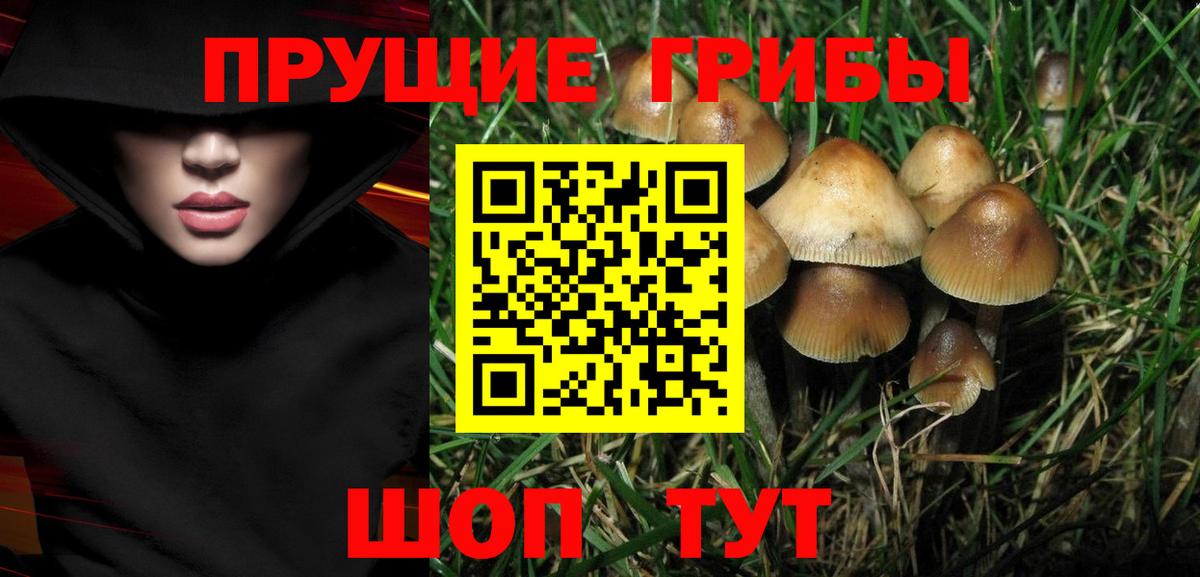 Псилоцибиновые грибы ЛСД Волоколамск