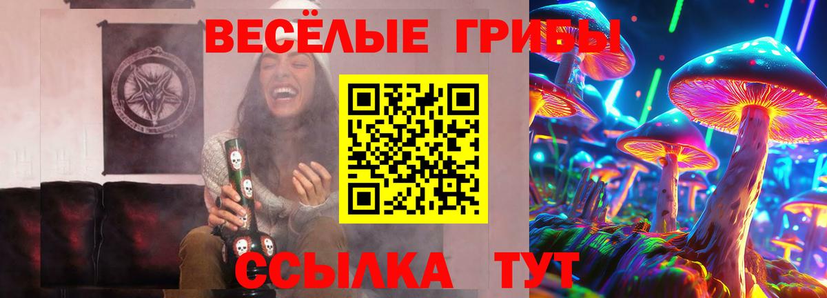 Волоколамск  Псилоцибиновые грибы прущие грибы  Вход с VPN  Псилоцибиновые грибы Psilocybine cubensis 