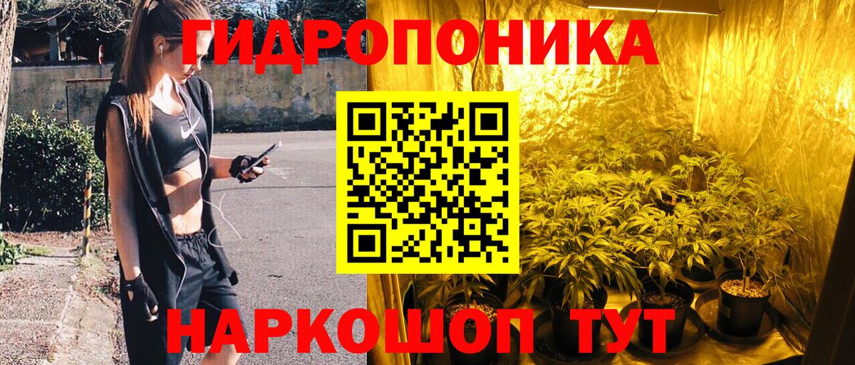 Шишки марихуана тримм  Вход с VPN  МАРИХУАНА Ganja  Волоколамск  Канабис планчик 